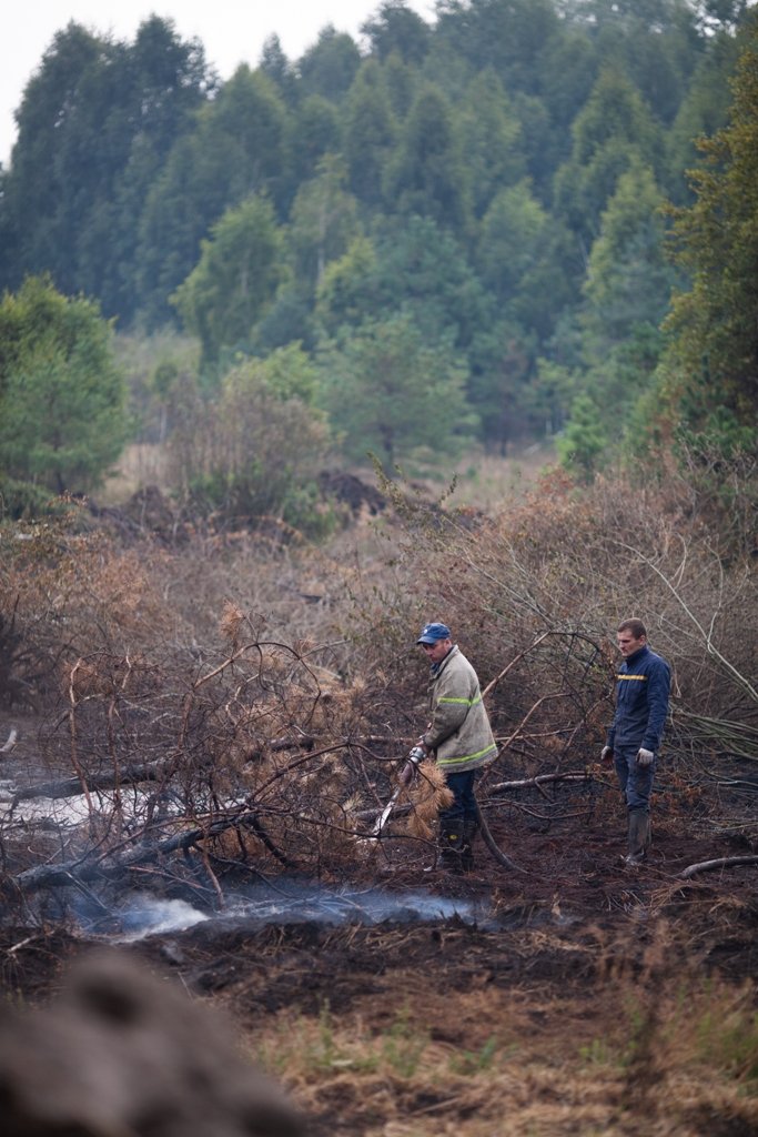 Як виглядає горіння торфу на Київщині, через яке вже тиждень столиця потерпає від смогу 11