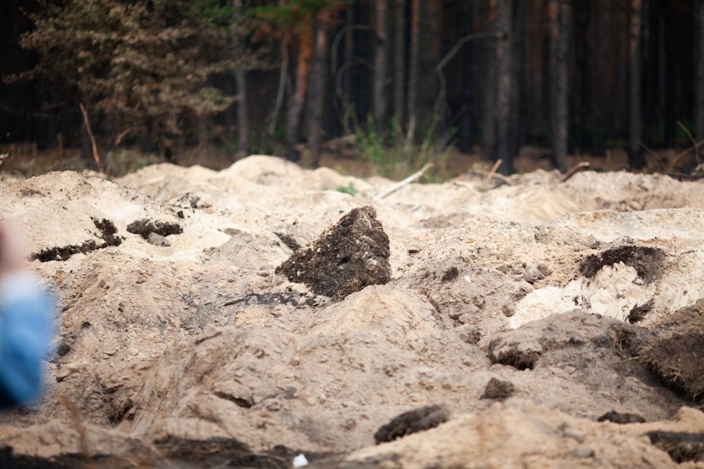 Як виглядає горіння торфу на Київщині, через яке вже тиждень столиця потерпає від смогу 12