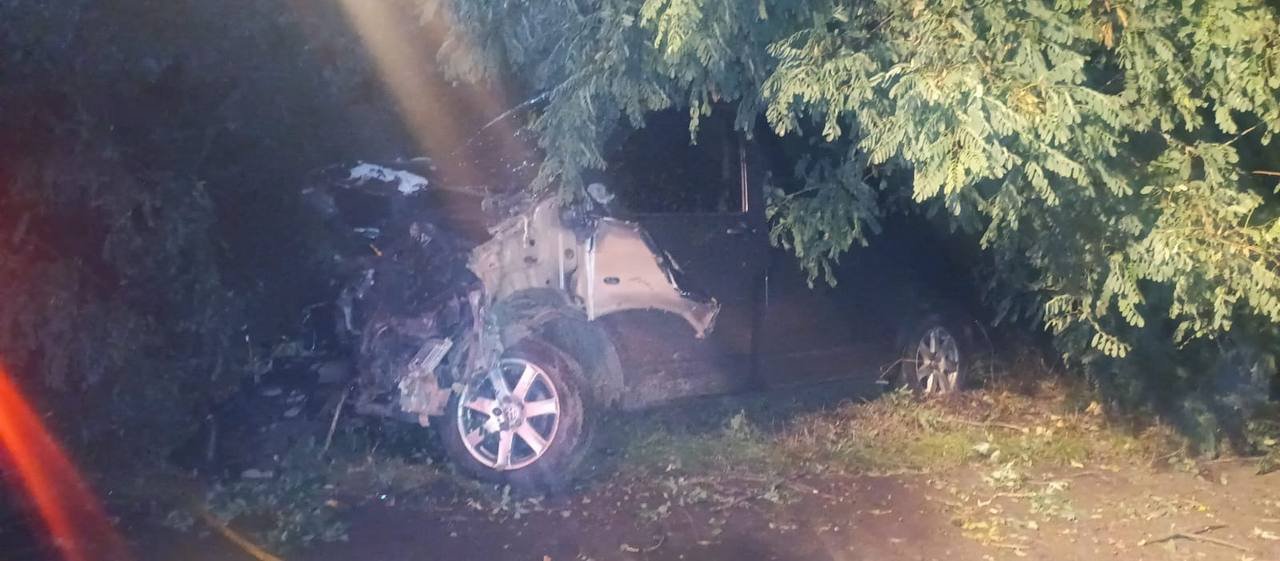 На Київщині Volkswagen вилетів з дороги і врізався в дерево: водій загинув 2