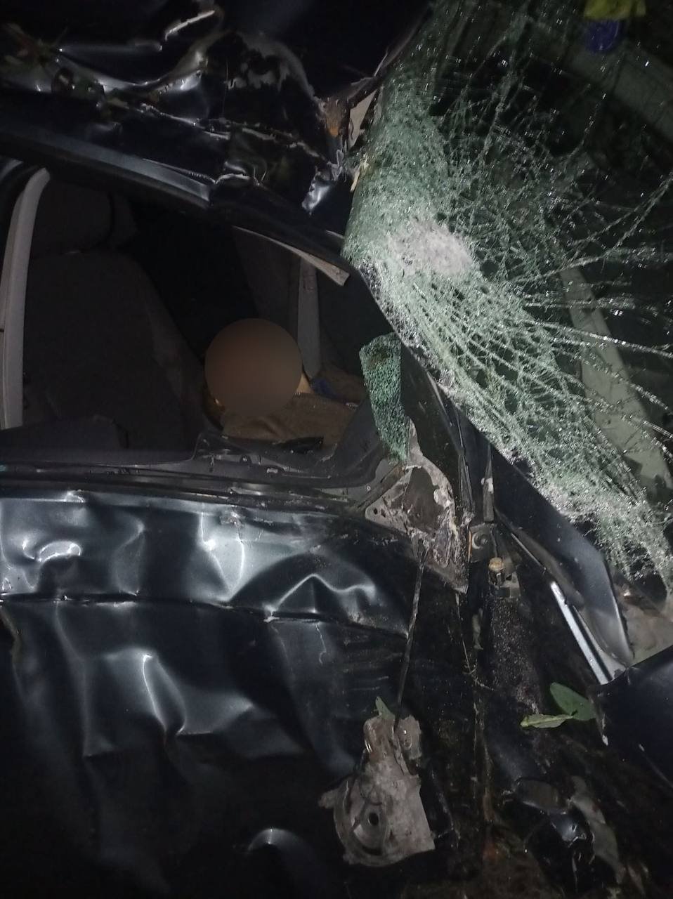 На Київщині Volkswagen вилетів з дороги і врізався в дерево: водій загинув 3