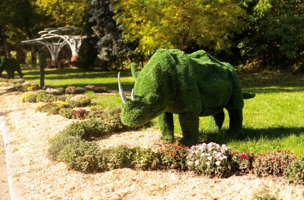 У Києві відкрилась виставка хризантем: де привітатися зі Смурфіками та побачити велетенського Губка Боба 1