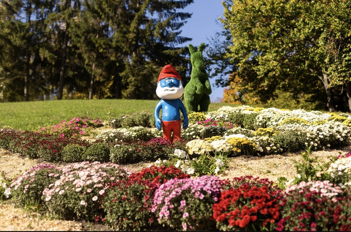 У Києві відкрилась виставка хризантем: де привітатися зі Смурфіками та побачити велетенського Губка Боба 3