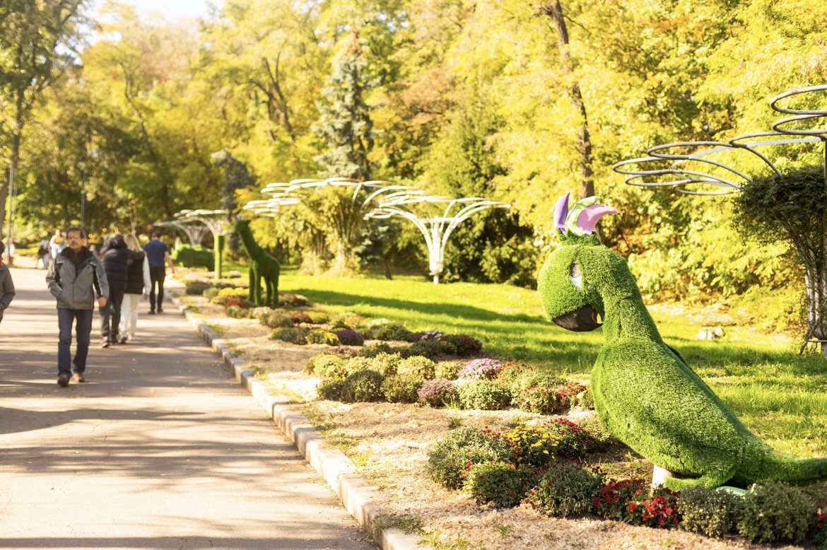 У Києві відкрилась виставка хризантем: де привітатися зі Смурфіками та побачити велетенського Губка Боба 6