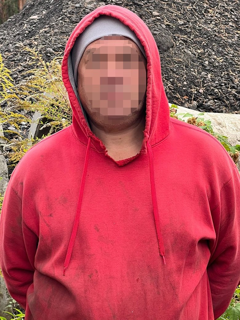 У Києві чоловік незаконно вирубав дуби майже на чверть мільйона гривень 3