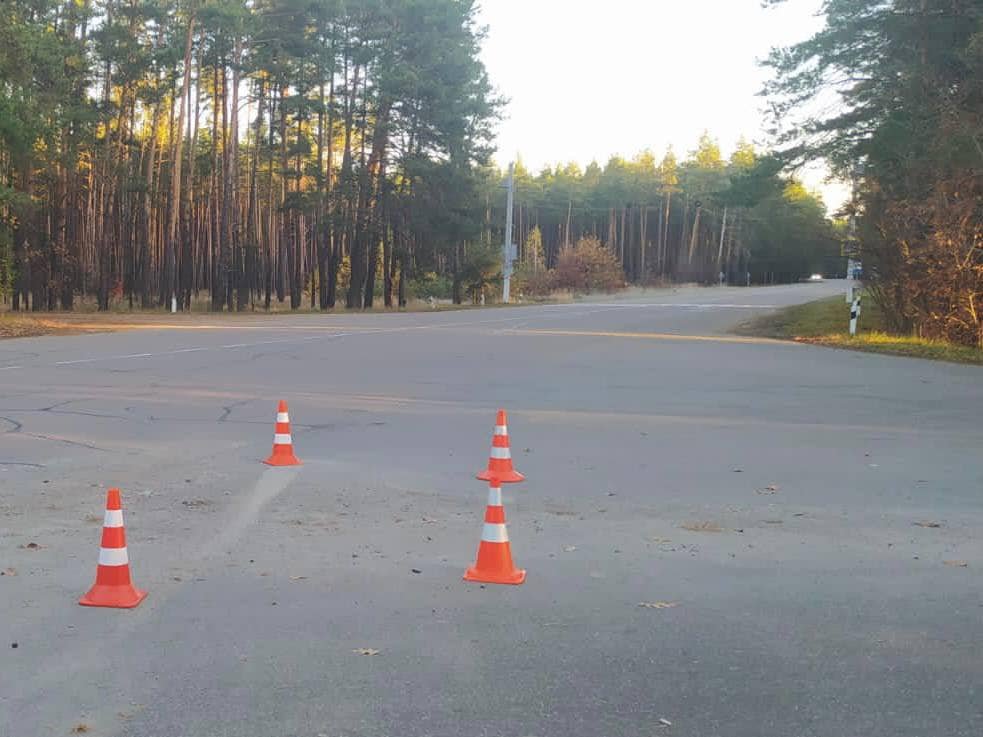 На Київщині Toyota вилетіла з дороги в кювет: водійка загинула на місці 2