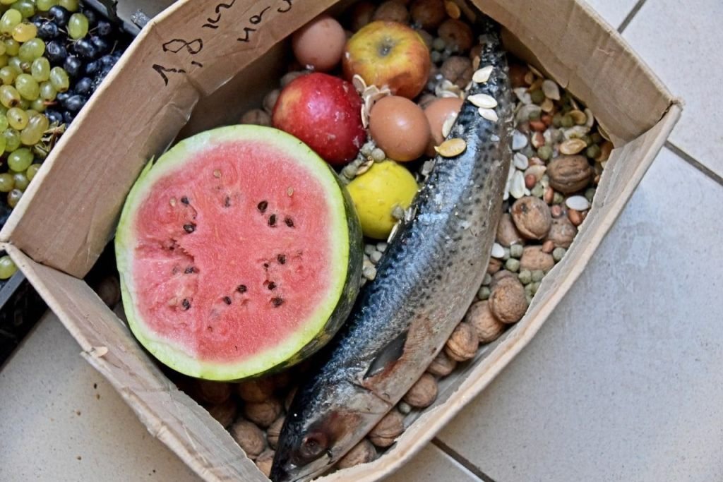 Куди піти у Києві на вихідних: у зоопарку проходять показові годування рибою ведмежатка Бері та її мами Бебі 1