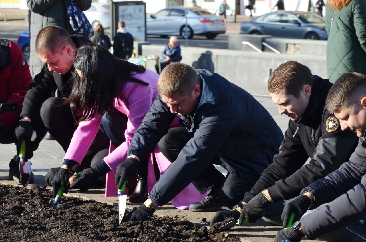 У Києві на Майдані Незалежності висадили нідерландські тюльпани: наступної весни у центрі зацвіте 125 тисяч квітів 1