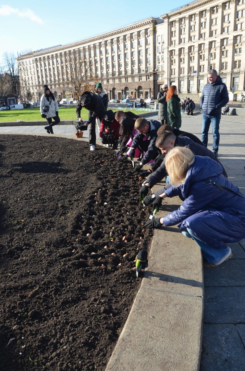 У Києві на Майдані Незалежності висадили нідерландські тюльпани: наступної весни у центрі зацвіте 125 тисяч квітів 2