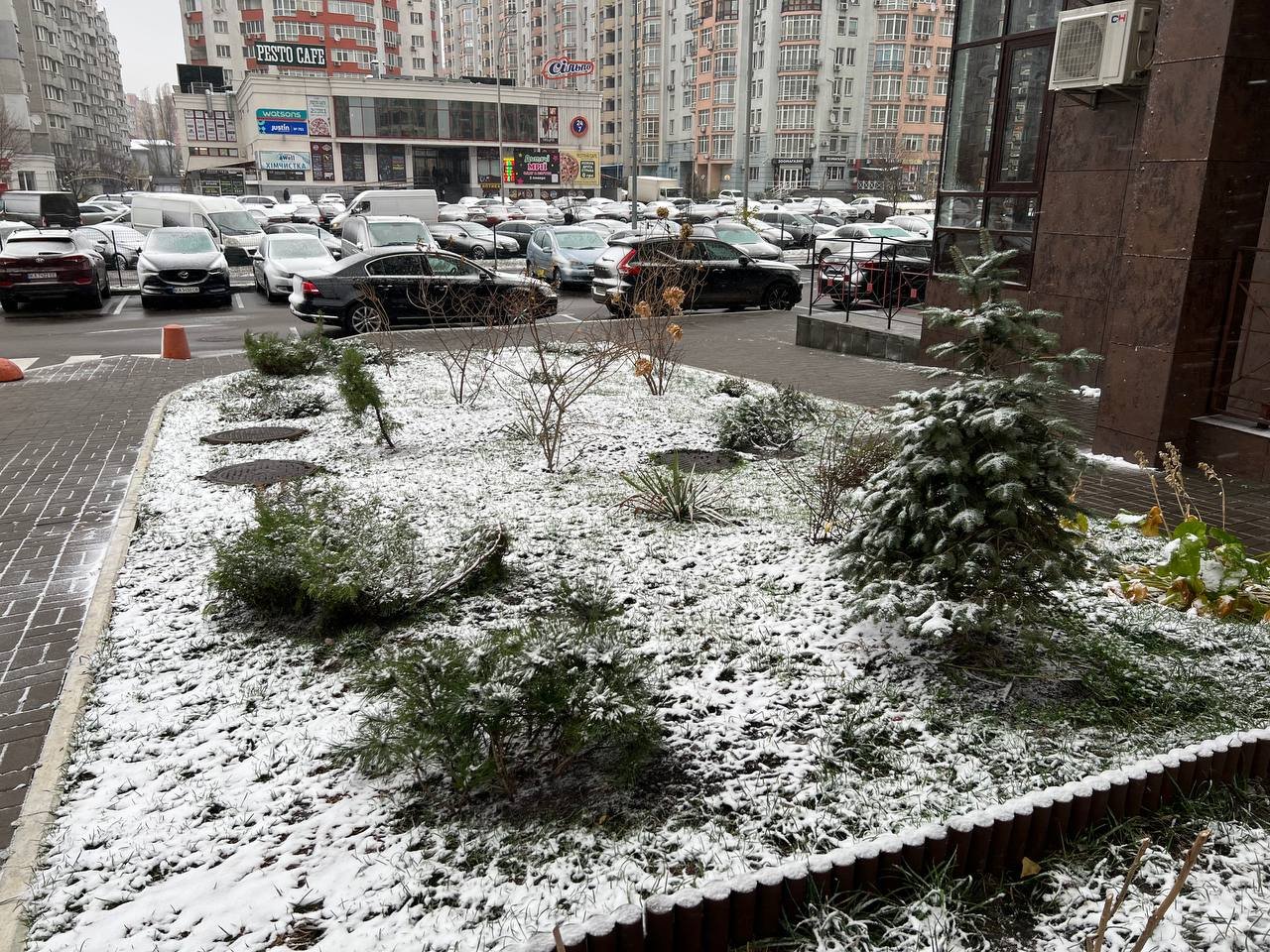 У Києві пішов перший сніг 2