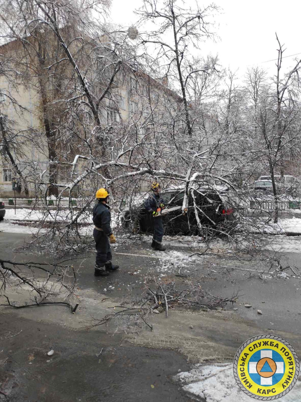 У Києві через негоду дерева падають на автівки, дороги та тротуари 2