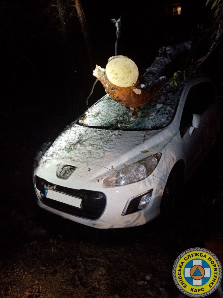 У Києві через негоду дерева падають на автівки, дороги та тротуари 3