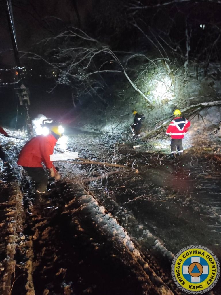 У Києві через негоду дерева падають на автівки, дороги та тротуари 4