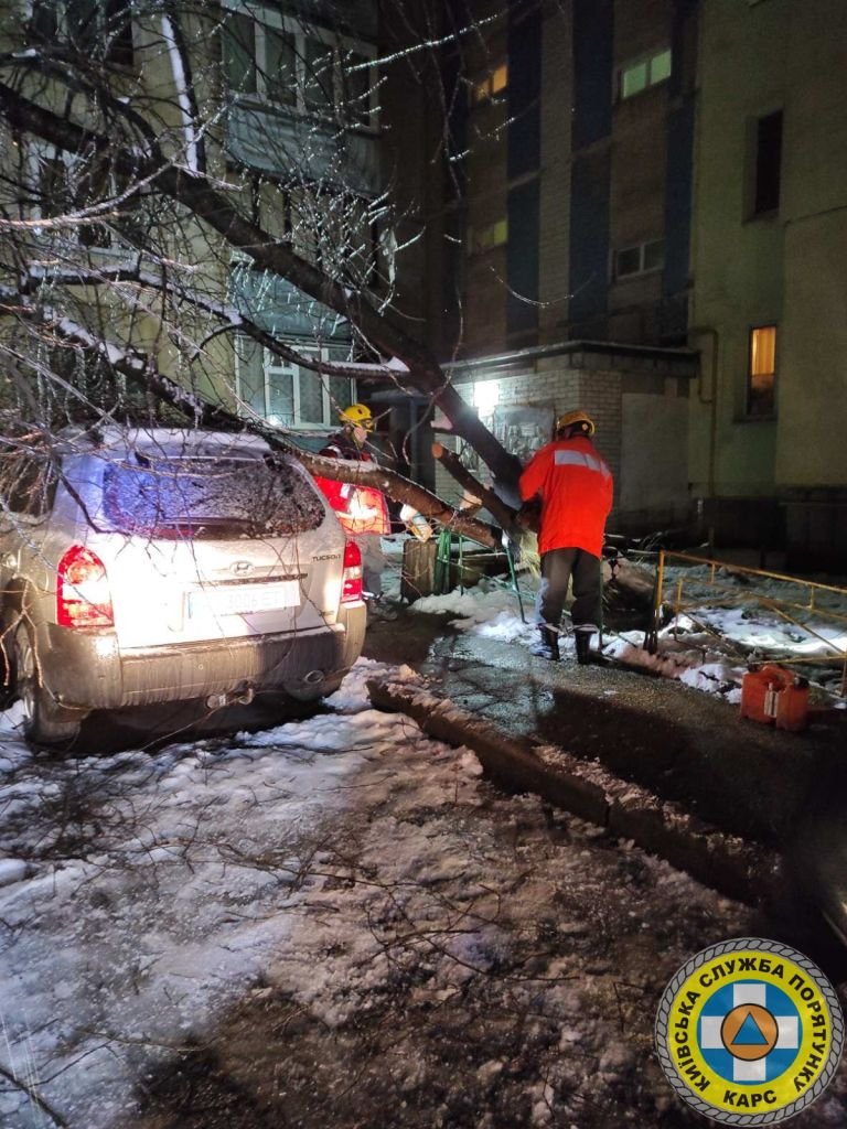 У Києві через негоду дерева падають на автівки, дороги та тротуари 7