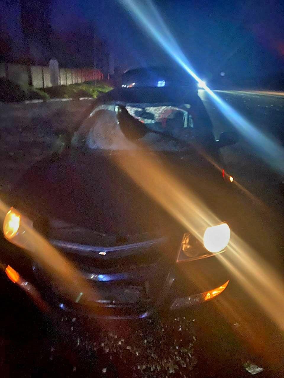 На трасі Київ-Одеса водій Nissan збив пішохода: чоловік помер до приїзду швидкої 2