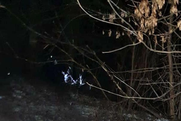 На Київщині Hyundai злетів у кювет: у ДТП загинув 21-річний водій 3