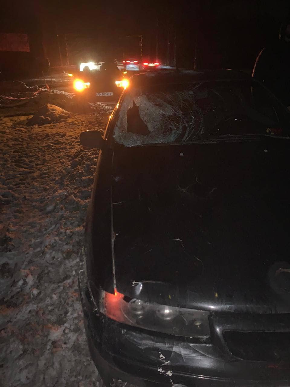 На Київщині водій Opel на неосвітленій ділянці дороги збив пішохода: загинув чоловік 3