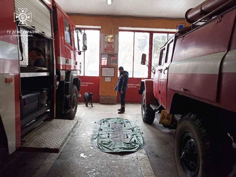 На Київщині рятувальники дістали собаку з крижаної води: чотирилапий тепер живе у частині 2