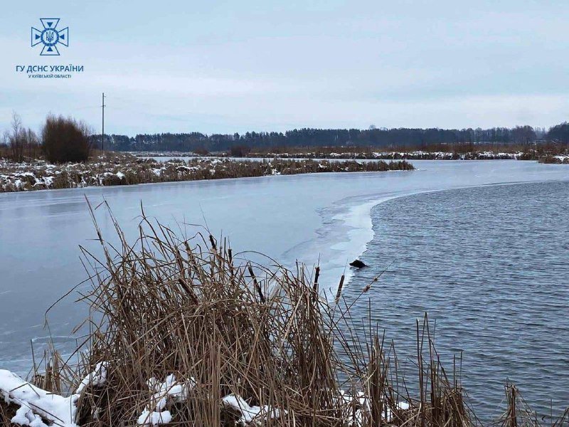 На Київщині рятувальники дістали собаку з крижаної води: чотирилапий тепер живе у частині 3