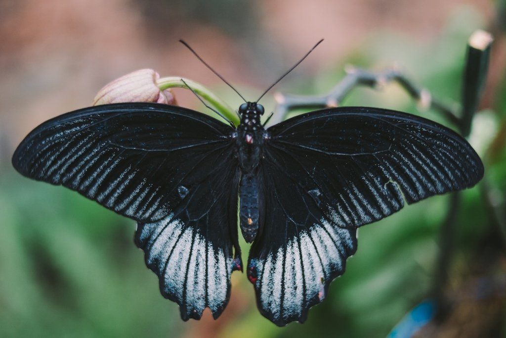 У Києві відкрилась «Зимова Країна на ВДНГ»: гід по цьогорічним локаціям та ціни 7