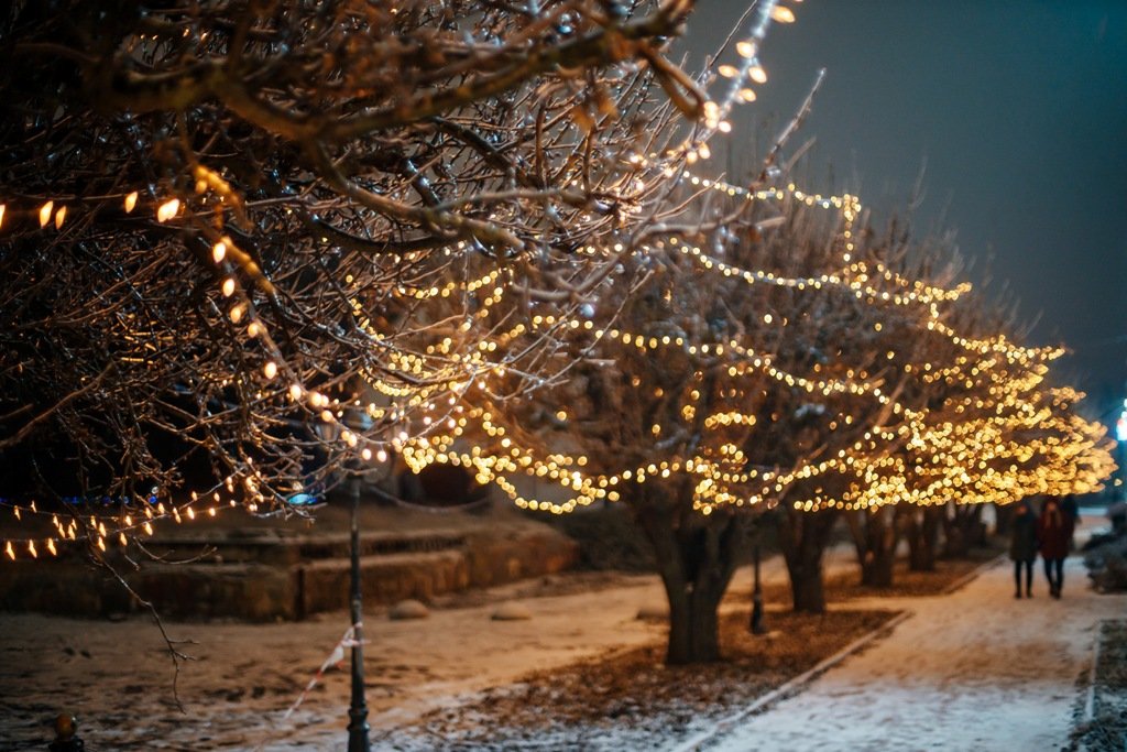 У Києві відкрилась «Зимова Країна на ВДНГ»: гід по цьогорічним локаціям та ціни 9