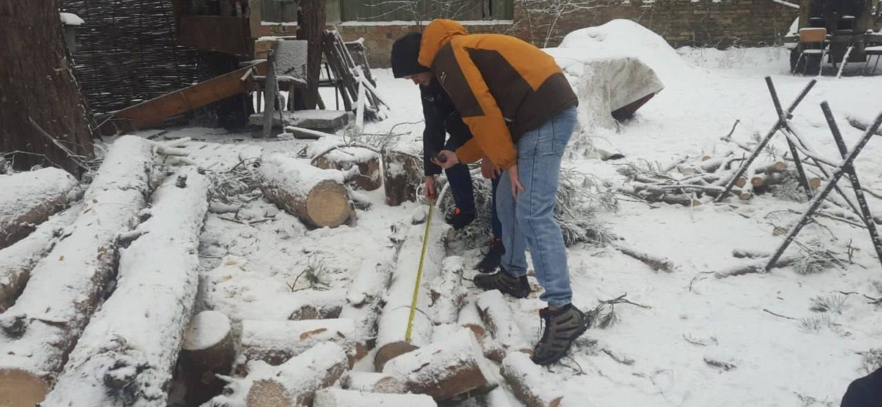У Києві чоловіки займались незаконною вирубкою дерев на Трухановому острові 2