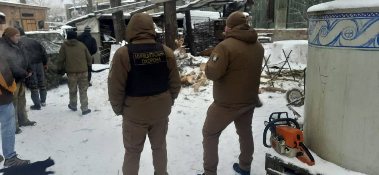 У Києві чоловіки займались незаконною вирубкою дерев на Трухановому острові 3