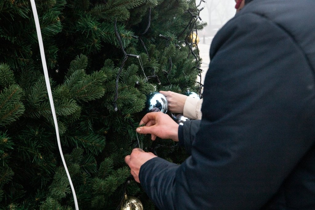 У Києві на Софійській площі встановили головну ялинку країни і завершують прикрашання: як виглядає 3