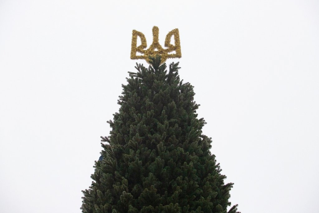 У Києві на Софійській площі встановили головну ялинку країни і завершують прикрашання: як виглядає 4