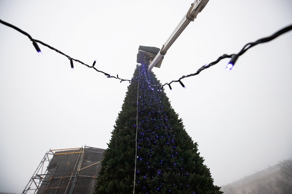 У Києві на Софійській площі встановили головну ялинку країни і завершують прикрашання: як виглядає 11