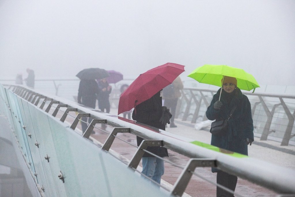 У Києві після ремонту відкрили Пішохідно-велосипедний міст: що замінили та як зараз виглядає 5