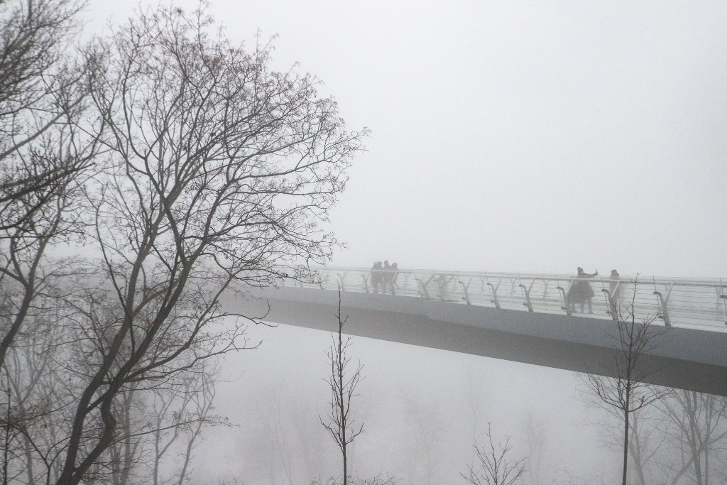 У Києві після ремонту відкрили Пішохідно-велосипедний міст: що замінили та як зараз виглядає 11
