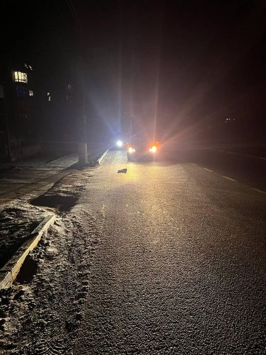 На Київщині Mercedes збив людину, що перебігала дорогу: жінка загинула в швидкій 1