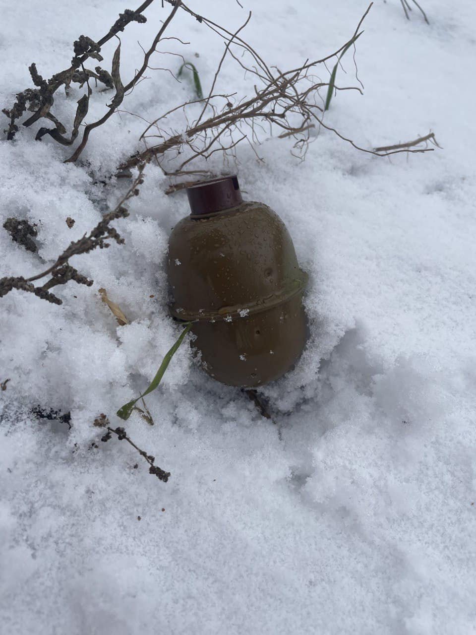 На Київщині біля смітників знайшли гранату 1