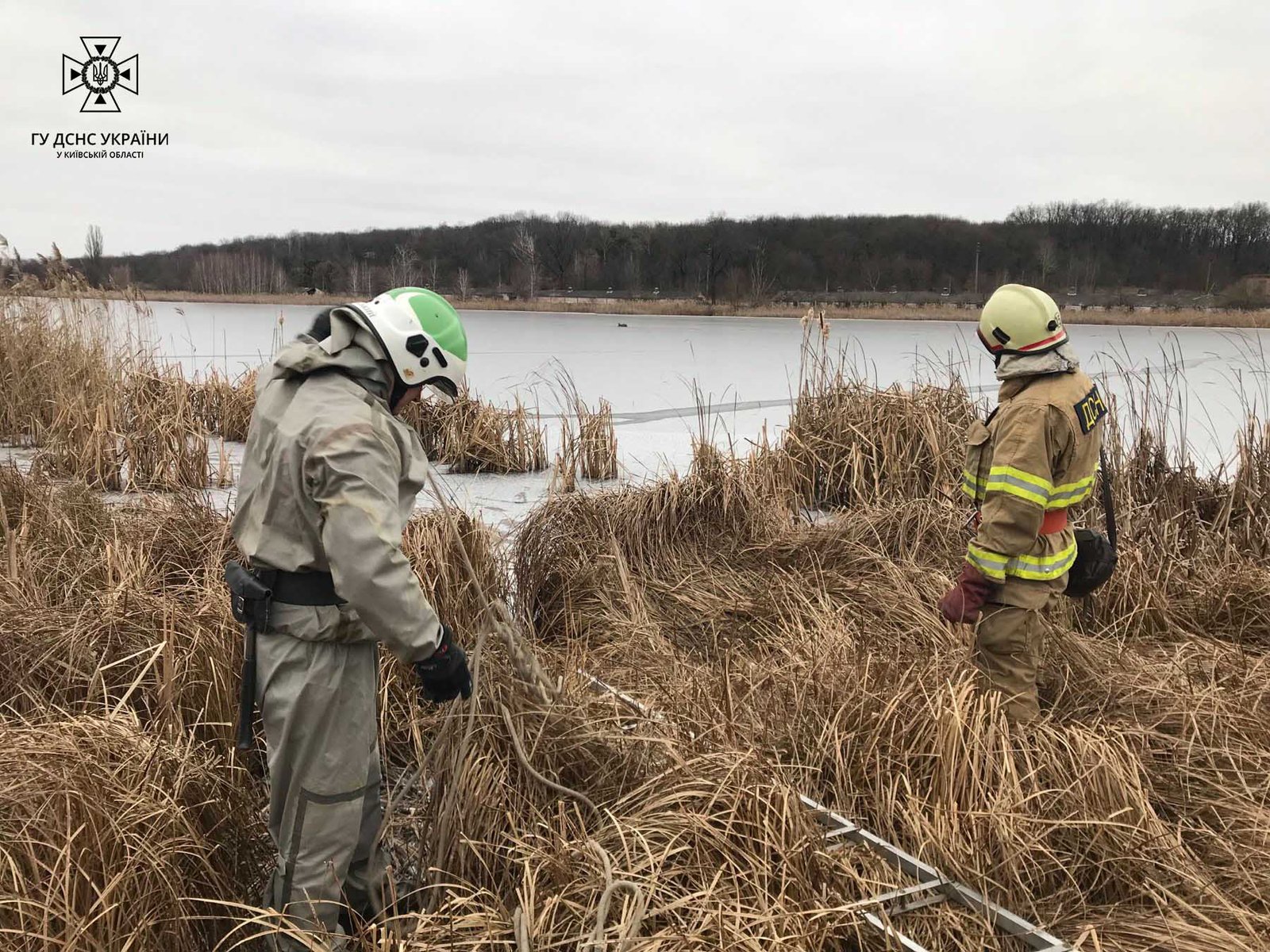 На Київщині надзвичайники врятували поранене оленятко 1