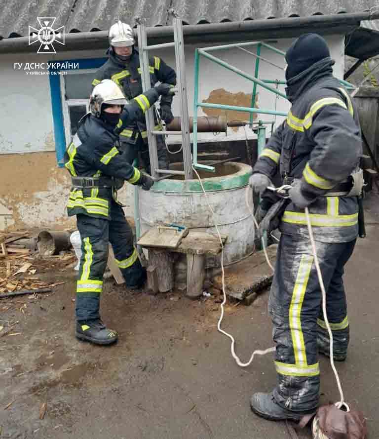 На Київщині врятували кота, який впав у криницю 1