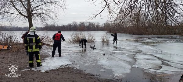 У Києві на річці Десенка рибалка провалилась під лід: чоловік загинув 2