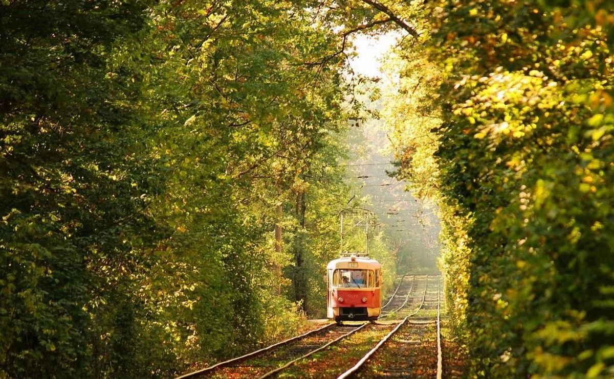 Куди втекти з Києва на вихідні: 10 місць біля столиці, про які ви нічого не знали 6