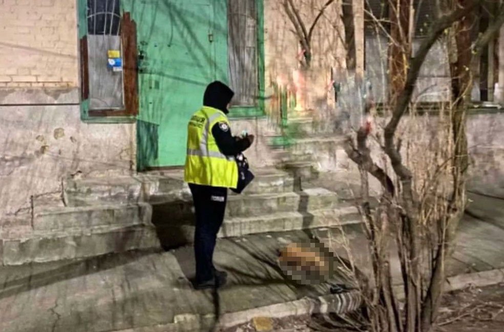 У Києві з вікна багатоповерхівки викинули собаку 1