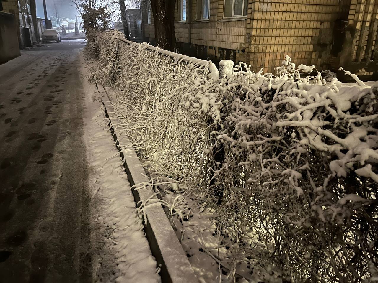 Київ засипає снігом: фото та відео 7