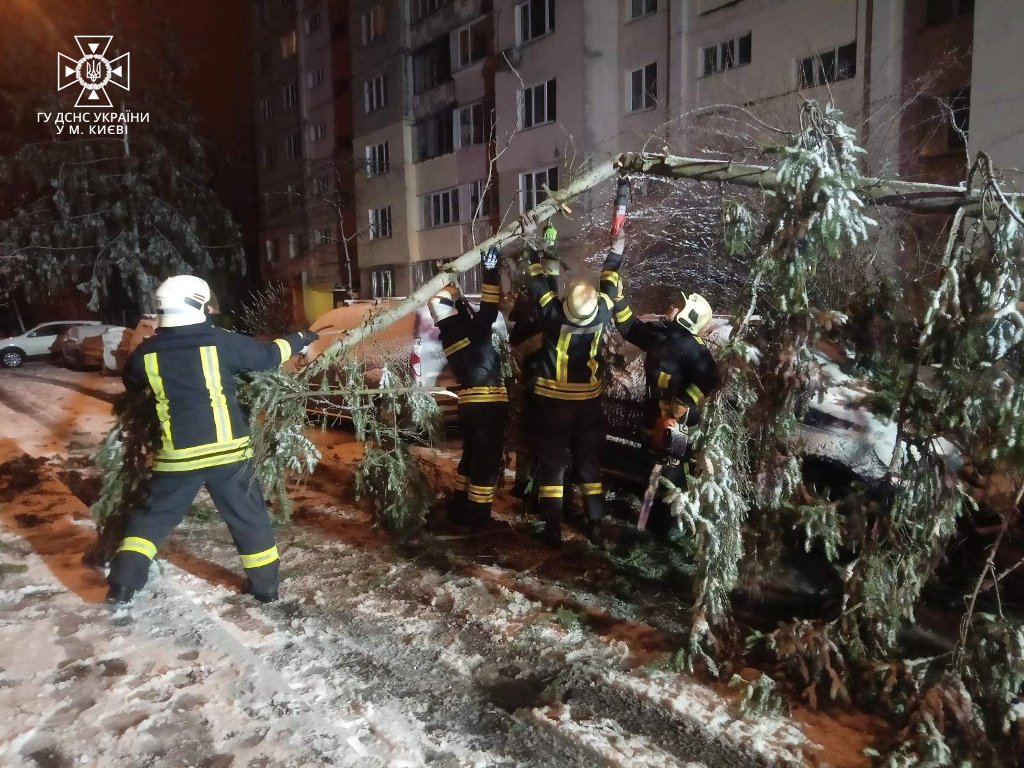 У Києві вітром повалило дерева: наслідки негоди 1