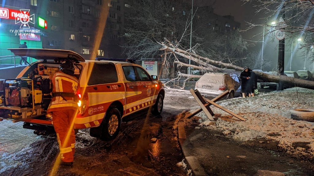 У Києві вітром повалило дерева: наслідки негоди 2