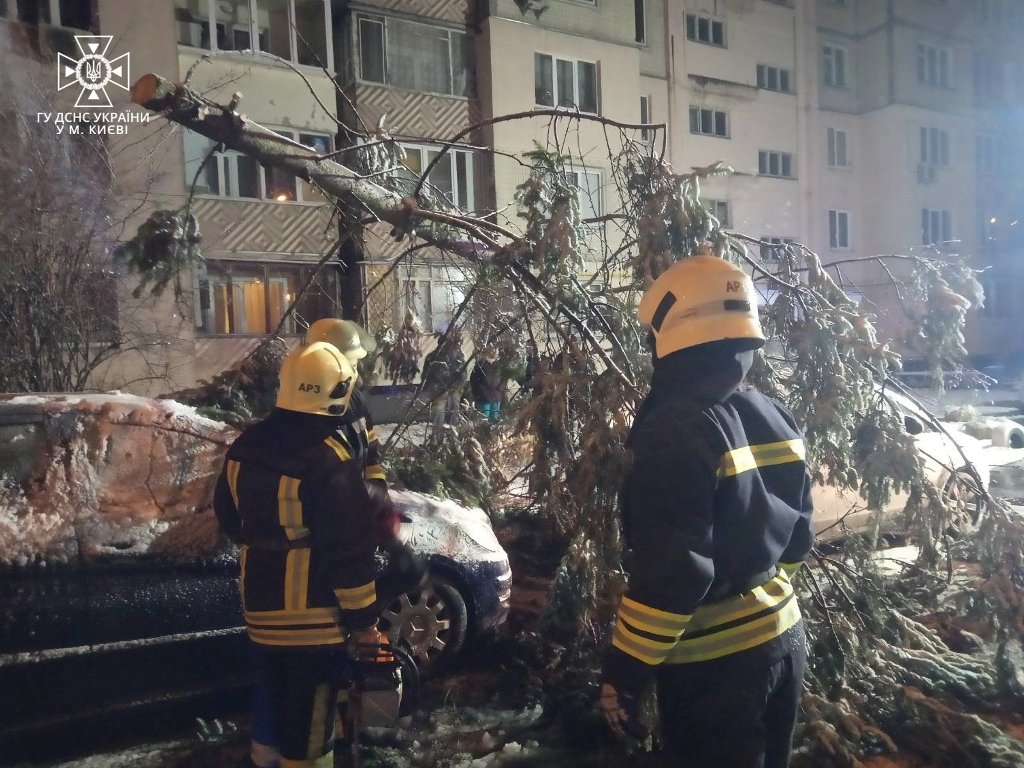 У Києві вітром повалило дерева: наслідки негоди 4