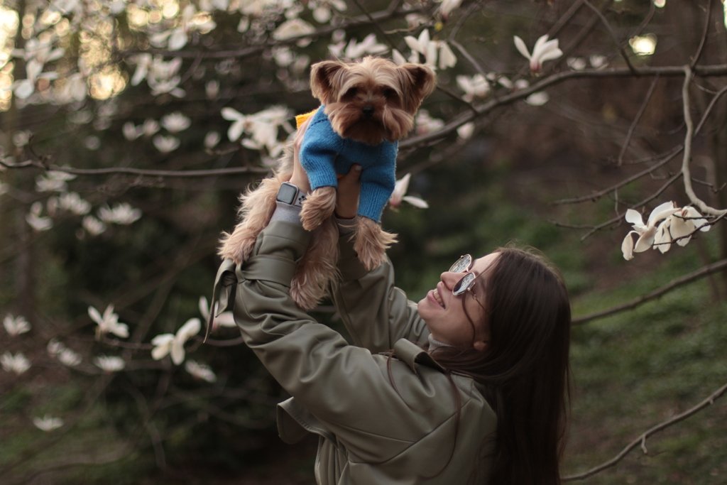 У Києві зацвіли перші дерева магнолій: де зробити гарні фото 5