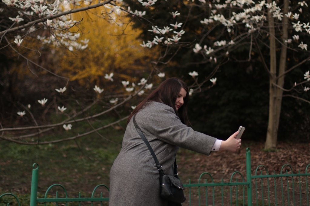 У Києві зацвіли перші дерева магнолій: де зробити гарні фото 7