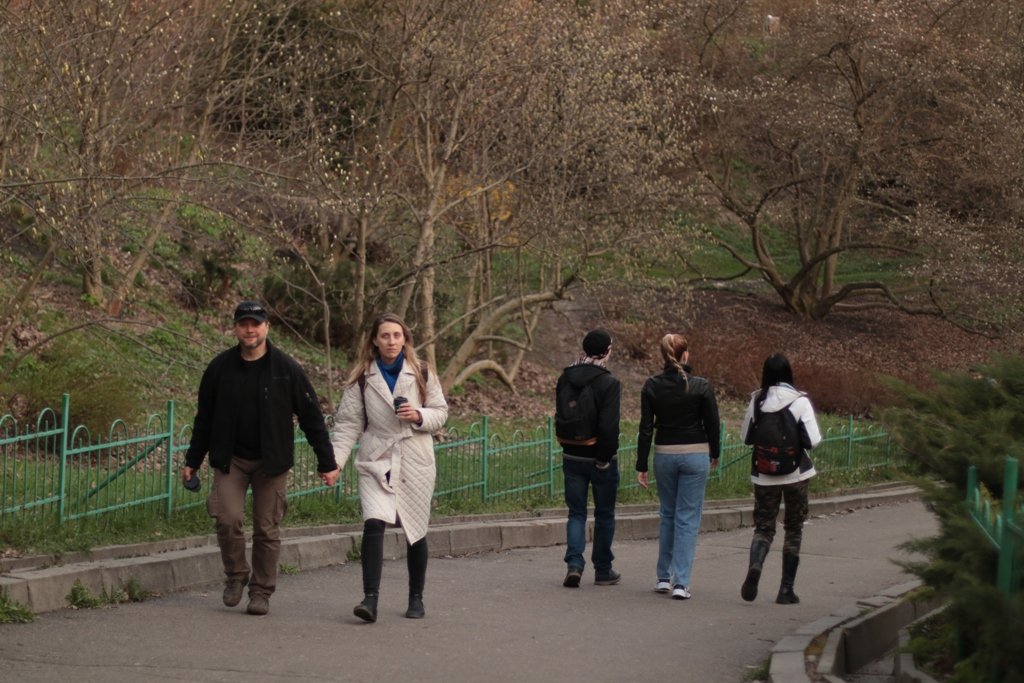 У Києві зацвіли перші дерева магнолій: де зробити гарні фото 8