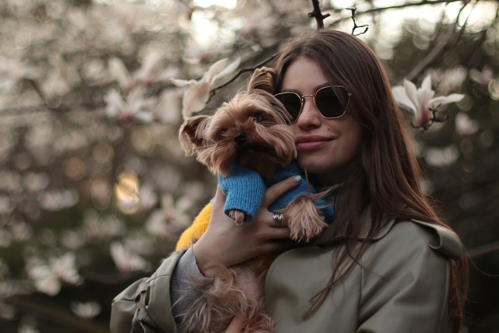 У Києві зацвіли перші дерева магнолій: де зробити гарні фото 10