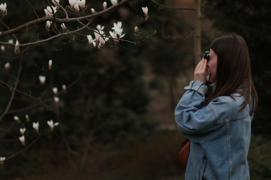 У Києві зацвіли перші дерева магнолій: де зробити гарні фото 14