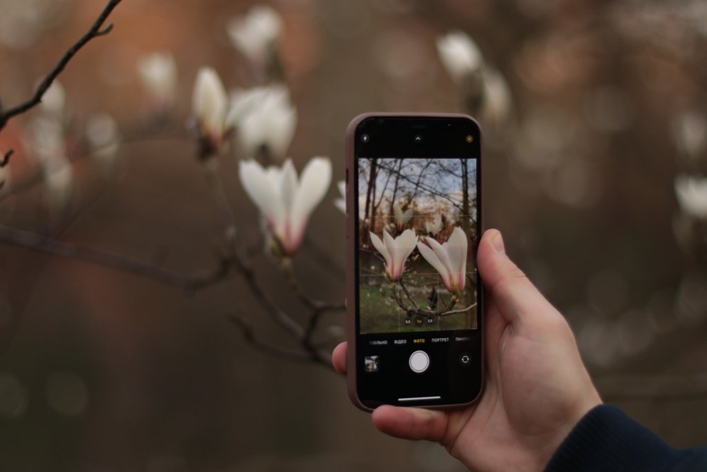 У Києві зацвіли перші дерева магнолій: де зробити гарні фото 17