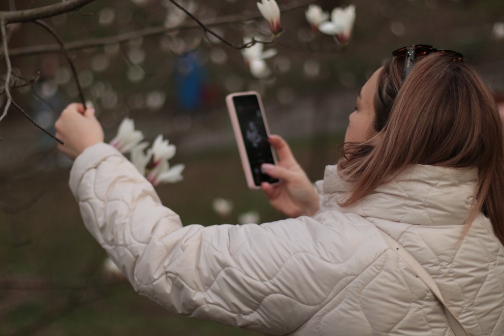 У Києві зацвіли перші дерева магнолій: де зробити гарні фото 18