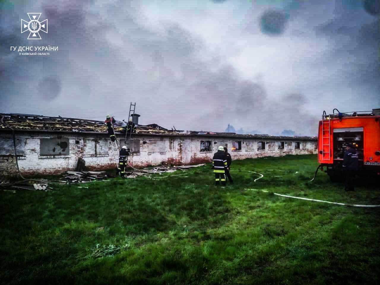 На Київщині під час пожежі загоріла тисяча курей 1